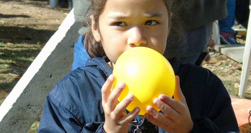 dsc02438.jpg