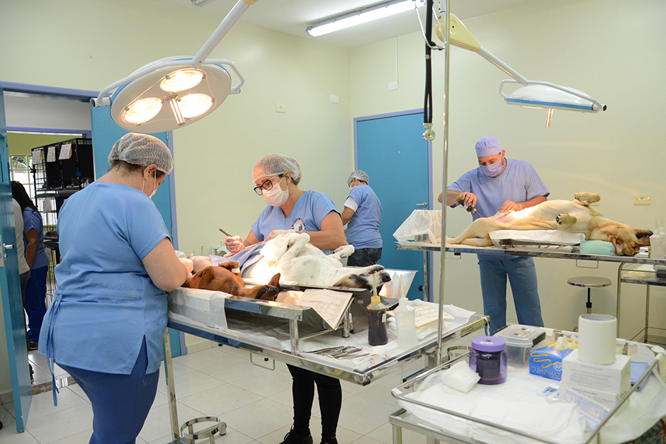 castracao-ccz-22-03-2019-lucas-cabral-13.jpg