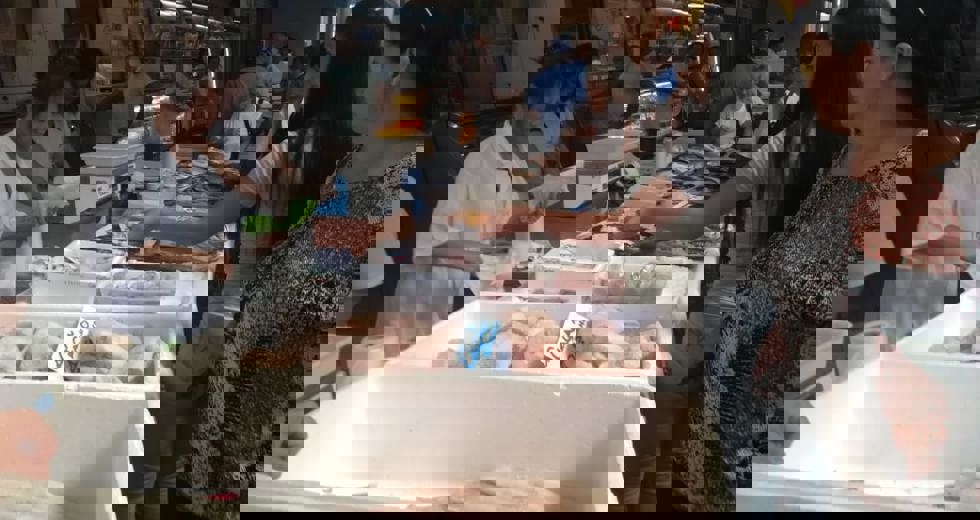 52765306-2076-43d6-b089-11a61acf16c7.jpg