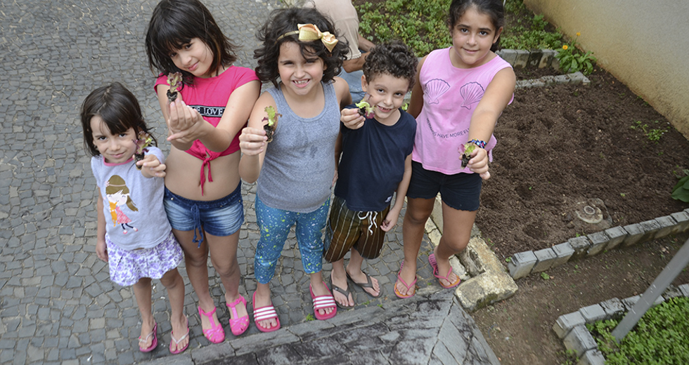 cultivo-de-hortas-e-composteira-12-12-2019-lucas-cabral-02.jpg