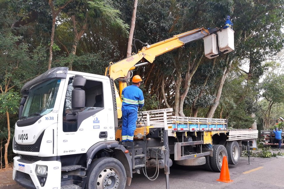 Força-tarefa de poda chega no Monte Castelo