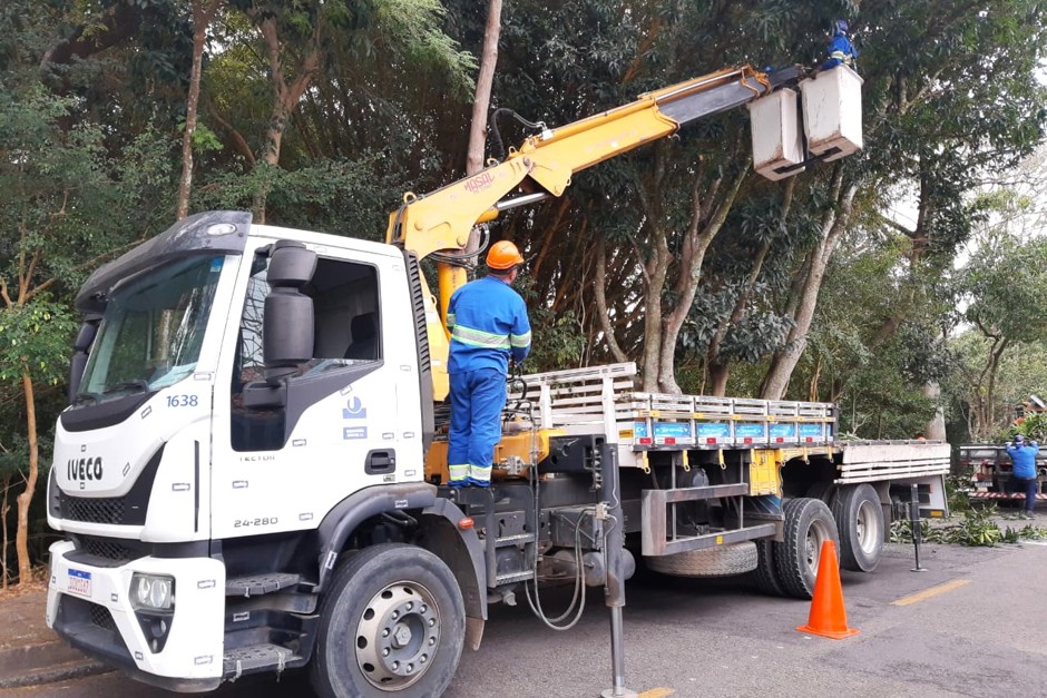 Força-tarefa de poda chega no Monte Castelo