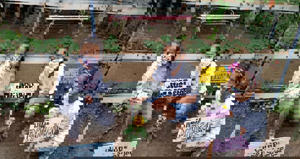 46a4d7ff-5dc0-4026-aadb-c5a51710d853.jpg