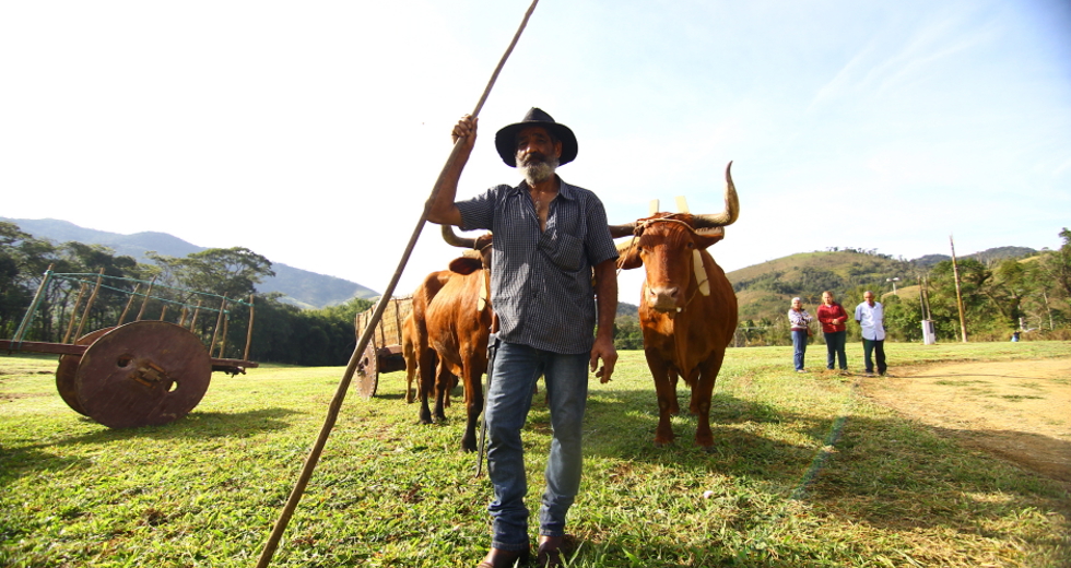 cv__4339-claudio_vieira.jpg