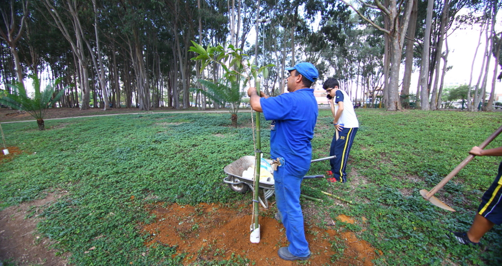 cv__5011-claudio_vieira.jpg