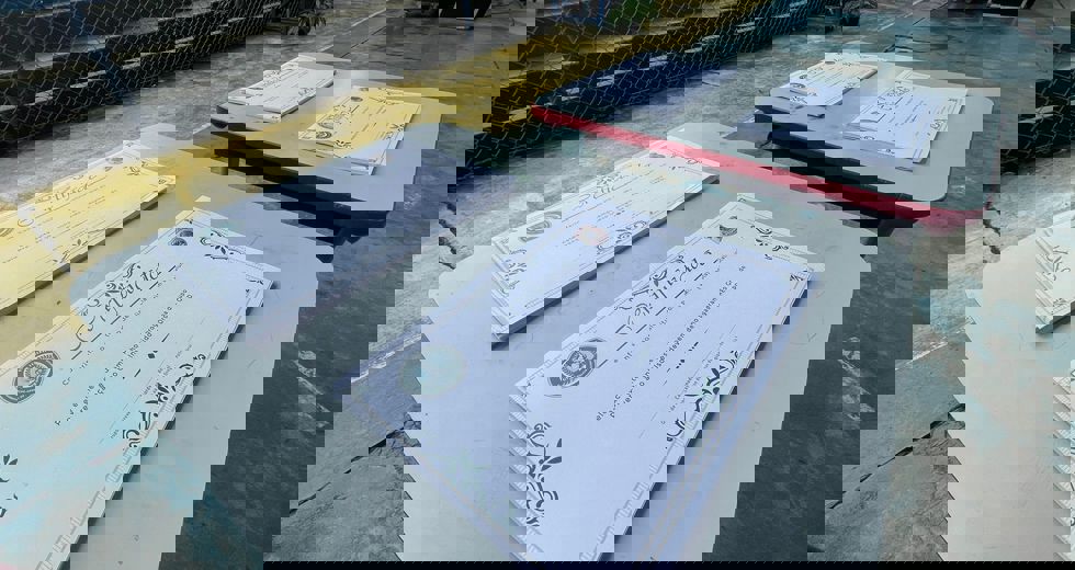 41.jpeg