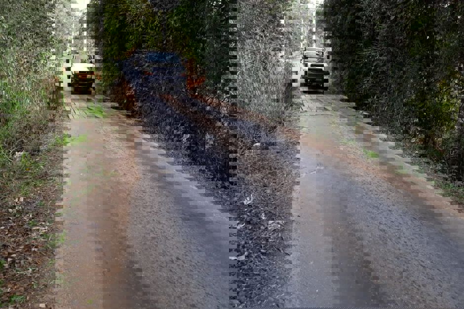 ponte.jpeg