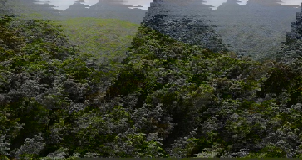 matheusmoroti-1.jpg