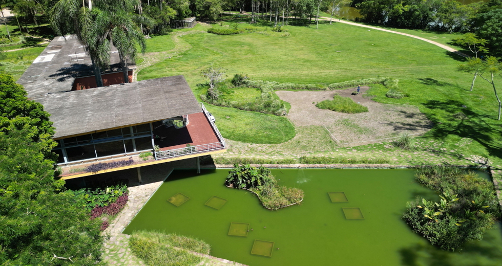 dji_0213.jpg