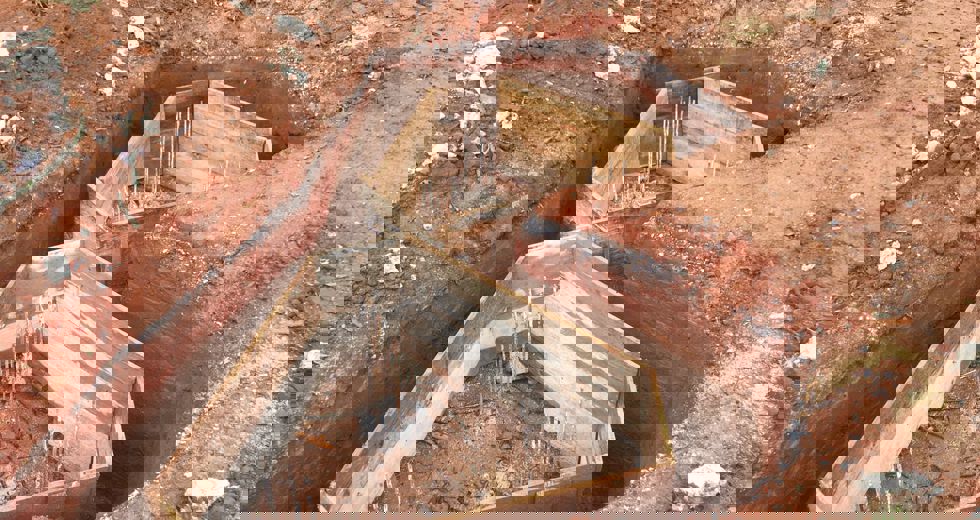 baep-3.jpeg