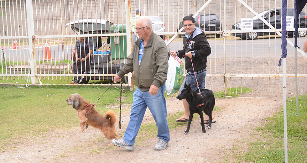 castracoes-quinta-fase-meu-pet-feliz-13-09-2019-lucas-cabral-20.jpg