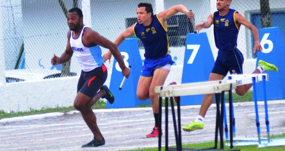 tmf_3773.jpg