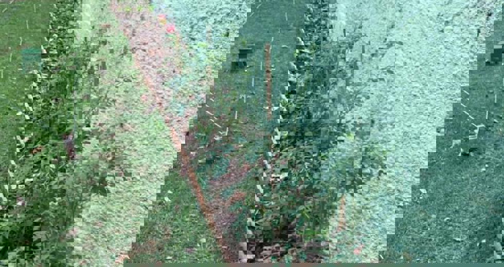 horta-no-bosque-10.jpeg