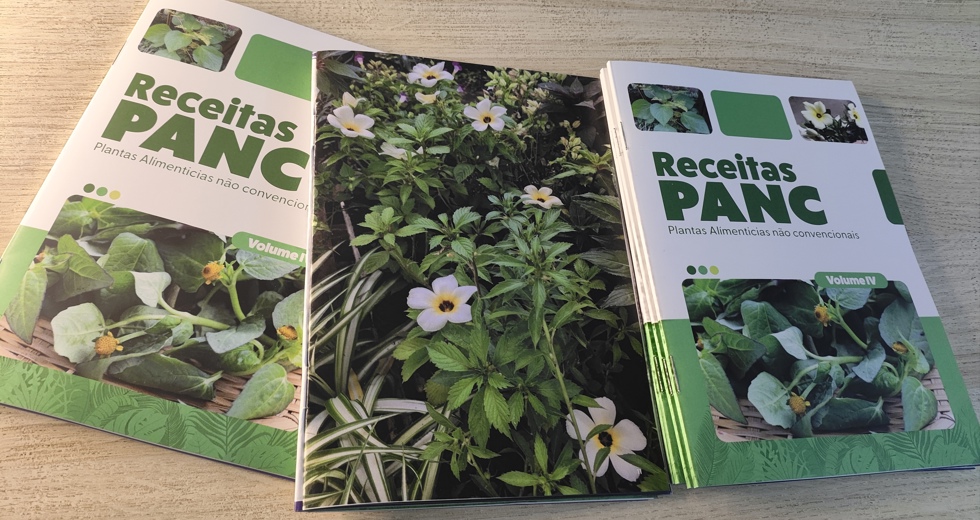 Livro de receitas Panc: Volume 4