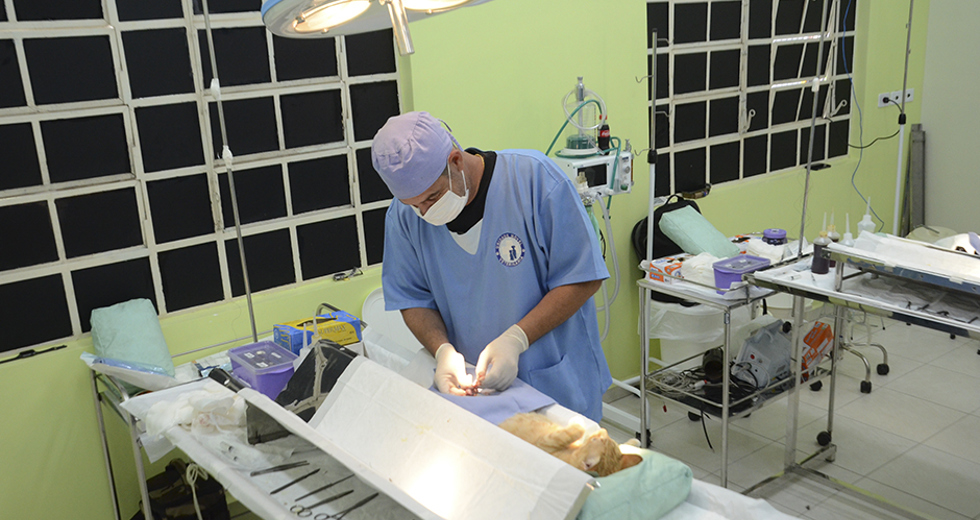 programa-meu-pet-feliz-05-12-2019-lucas-cabral-20.jpg