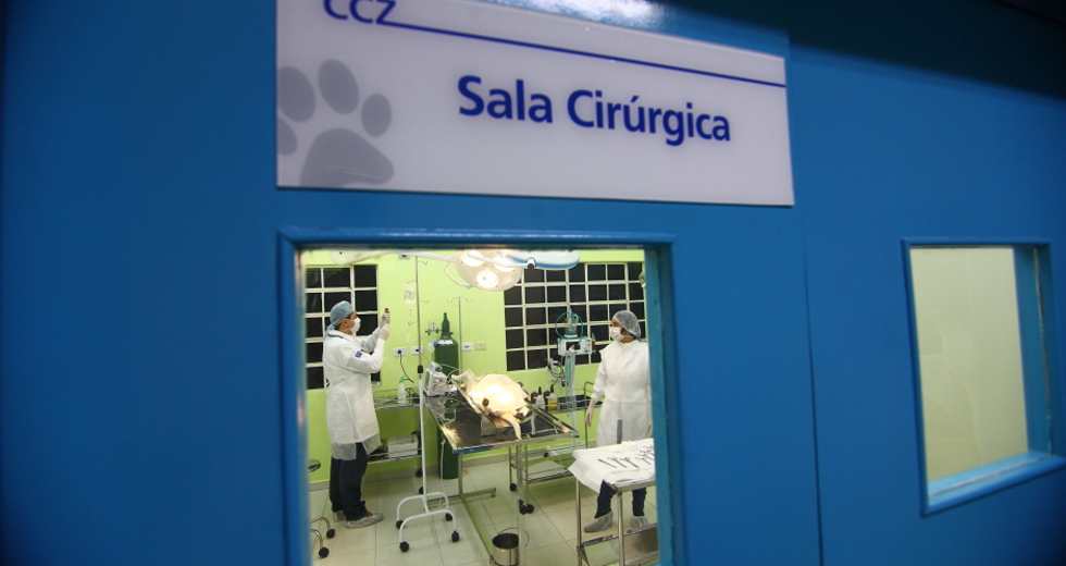 cv__0932-claudio_vieira.jpg
