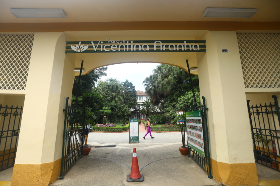 vicentina-aranha.jpg