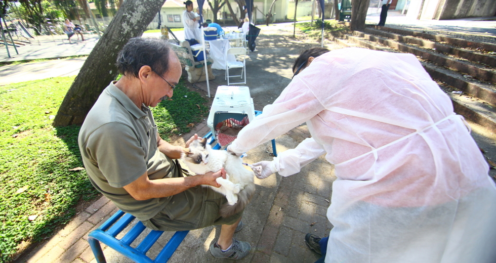 cv__7614-claudio_vieira.jpg