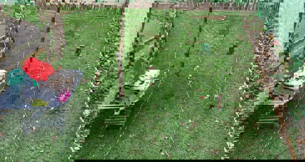 horta-no-bosque-9.jpeg