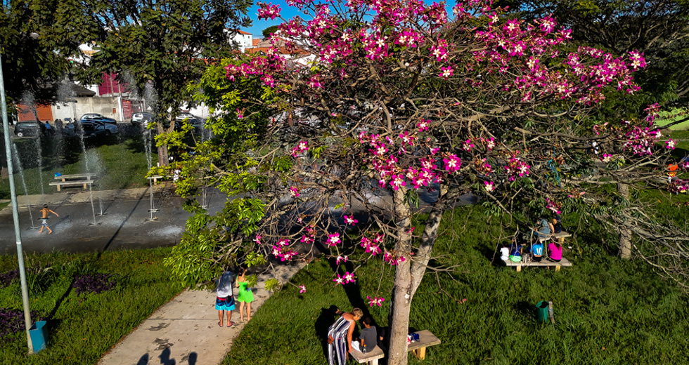 conexao-juventude-no-jardim-santa-ines-i-fotos-adenir-britto-57.jpg