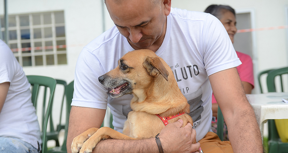 castracoes-quinta-fase-meu-pet-feliz-13-09-2019-lucas-cabral-07.jpg