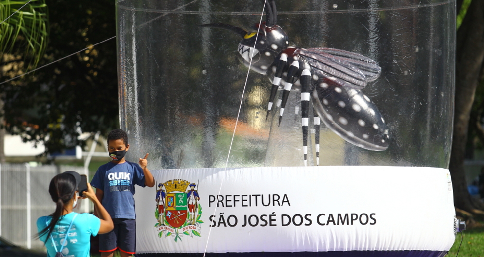 cv__8597_claudio_vieira.jpg