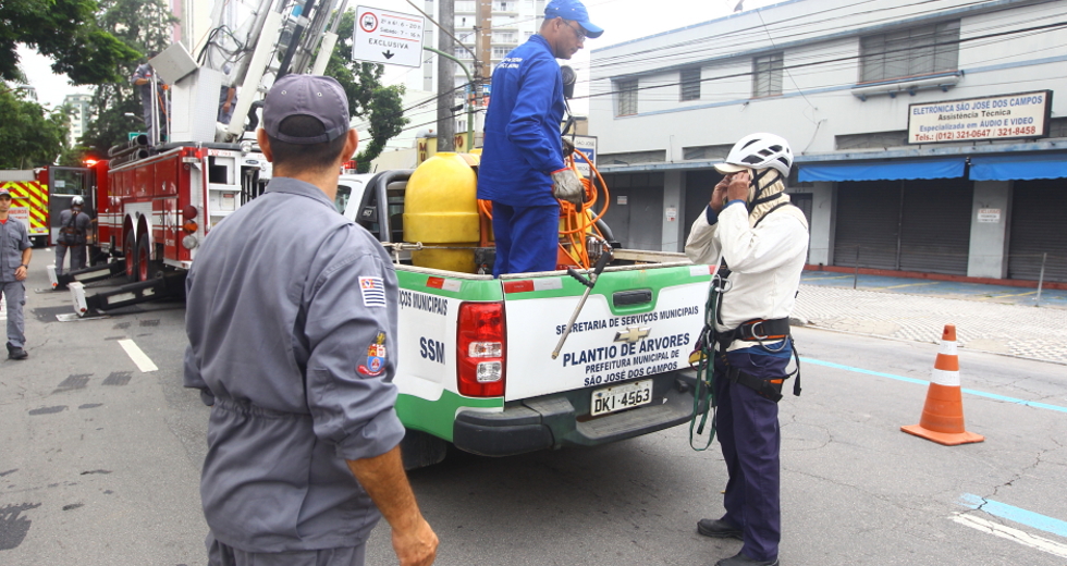 controle-de_pragas-07-claudio_vieira.jpg