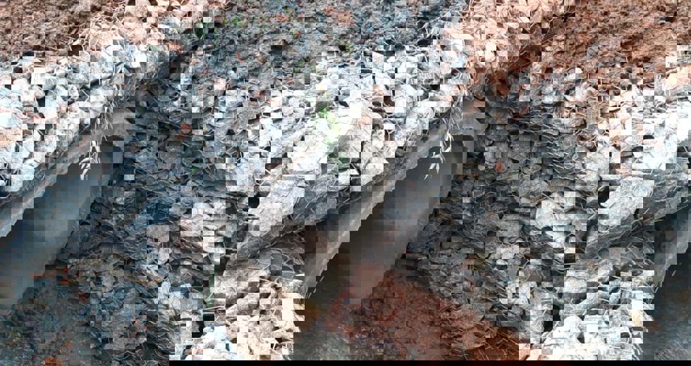 galeria-pinheirinho-1.jpeg