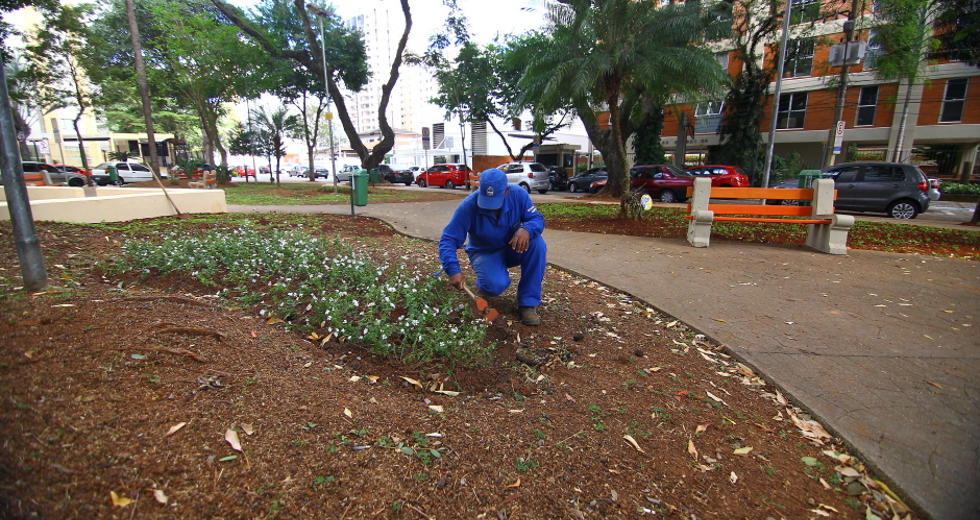 cv__2492-claudio_vieira.jpg