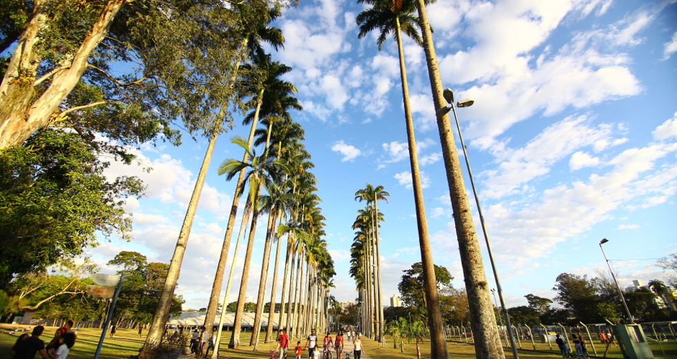 cv__0926-claudio_vieira.jpg