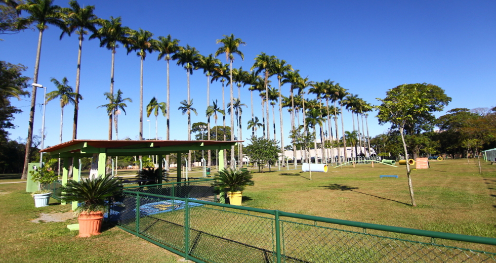 cv__8622_claudio_vieira.jpg