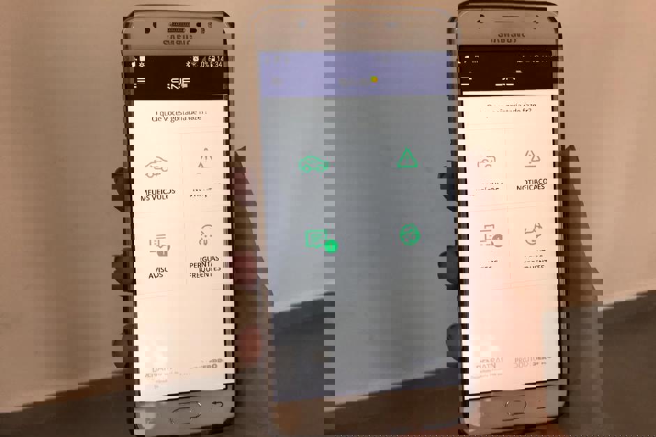 sne.jpeg