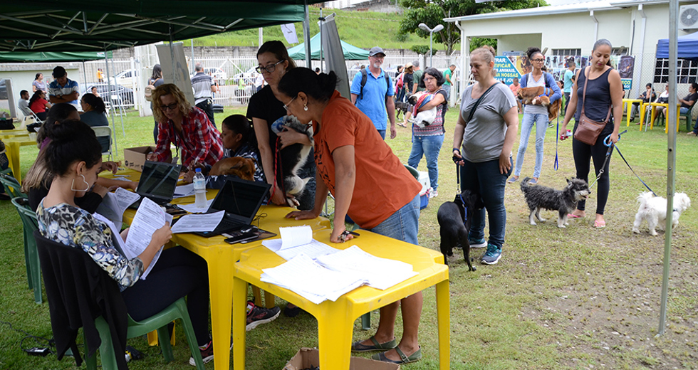 castracao-ccz-22-03-2019-lucas-cabral-03.jpg