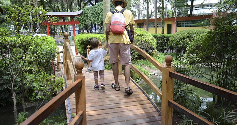 paisagismo-parque-santos-dumont-12-12-2019-lucas-cabral-18.jpg