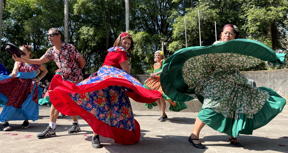 Dia Internacional do Idoso
