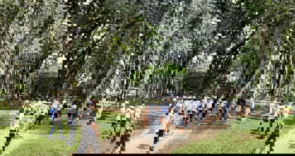 caminhada16jpeg.jpeg