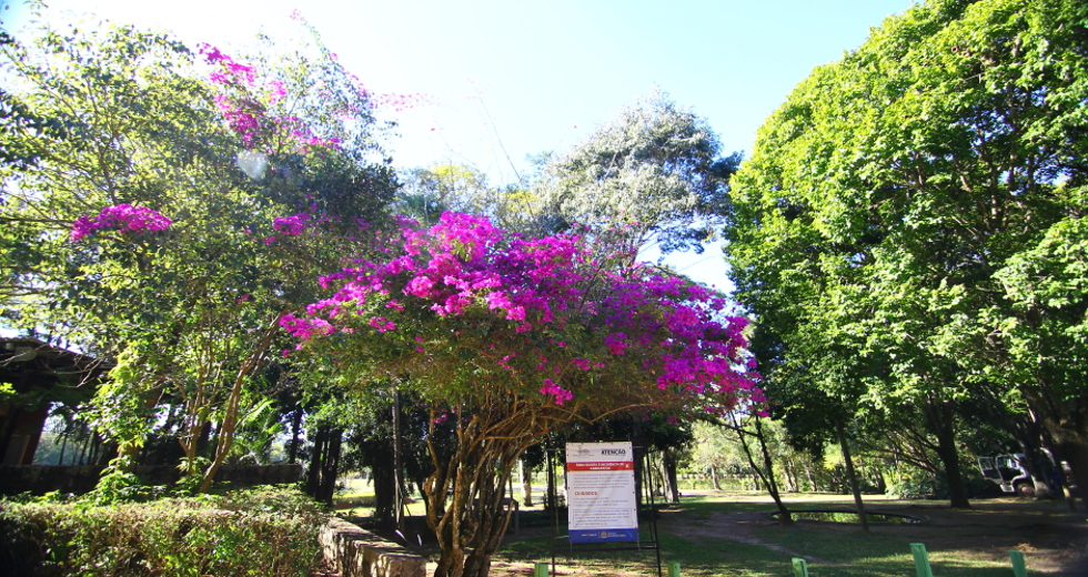 cv__8749_claudio_vieira.jpg
