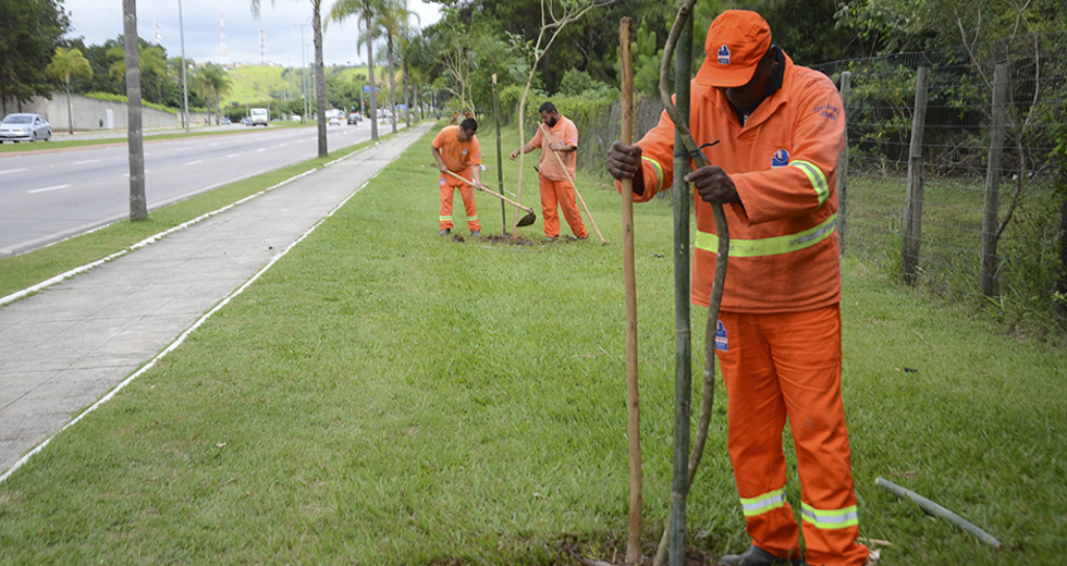 plantio-de-arvores-via-norte-20-12-2019-lucas-cabral-15.jpg