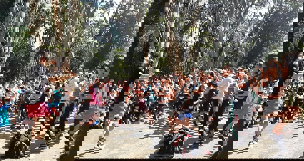 casadoidoso46.jpeg