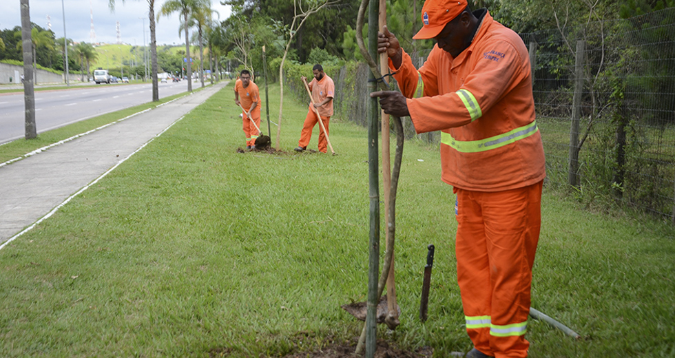 plantio-de-arvores-via-norte-20-12-2019-lucas-cabral-14.jpg