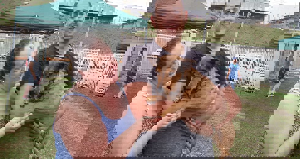 castracao-1.jpeg