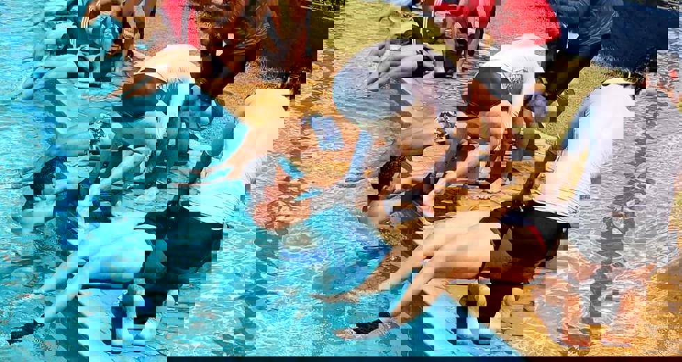 4d1d9547-645b-4f7b-9c34-92a9f5d463c5.jpg