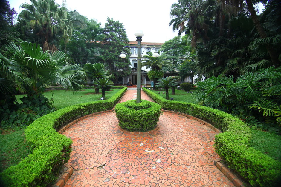 vicentina-aranha.jpg