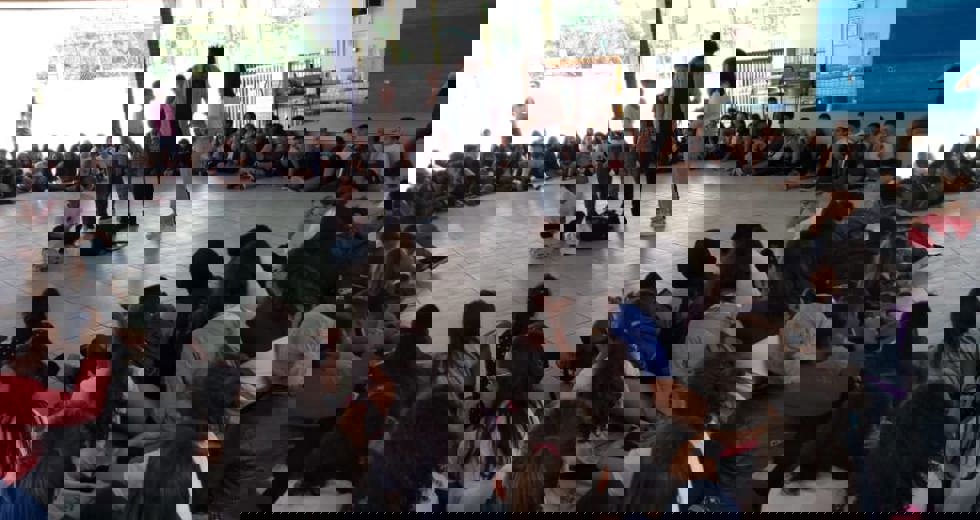 galo-2.jpeg