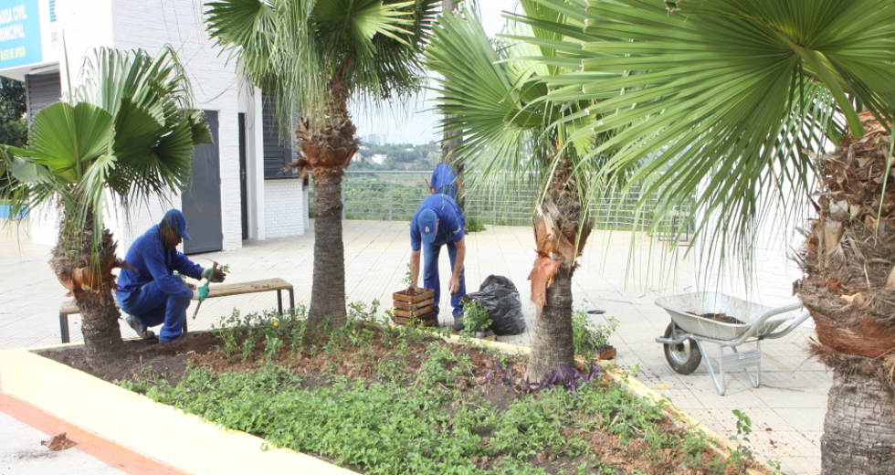 plantio_flores_jardineiras_orla_18beto_faria.jpg