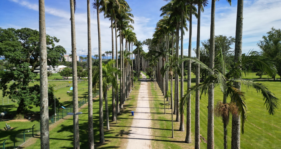 dji_0176.jpg