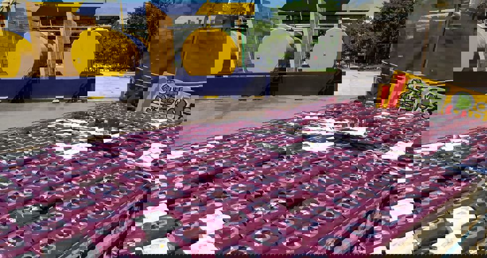 descarte9e.jpeg