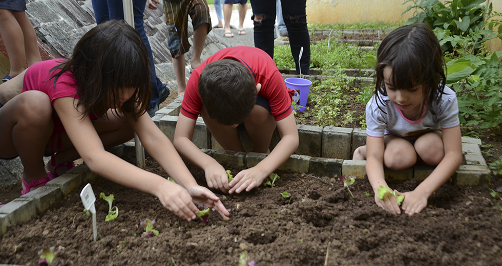 cultivo-de-hortas-e-composteira-12-12-2019-lucas-cabral-19.jpg