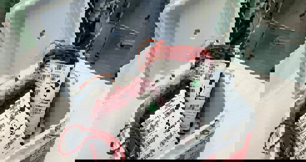 sangue-total-6.jpeg