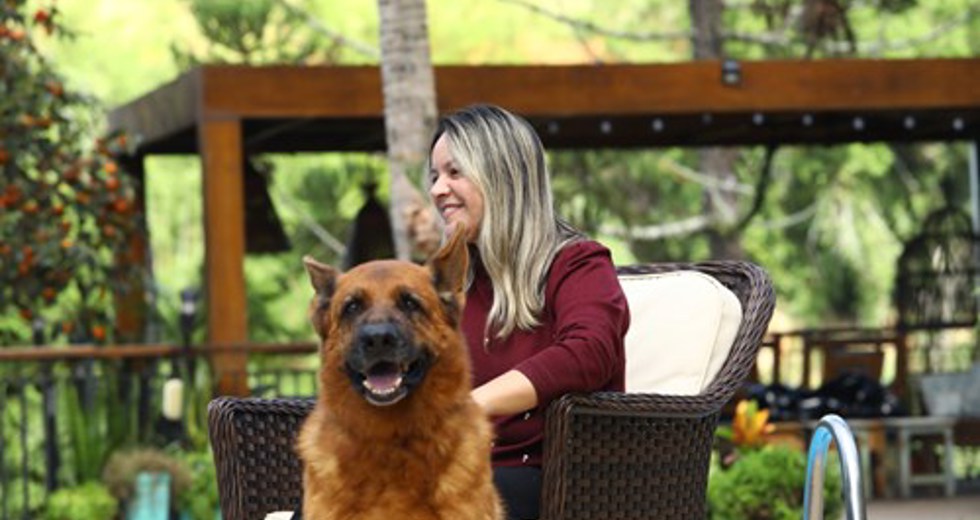 40ª fase do Meu Pet Feliz